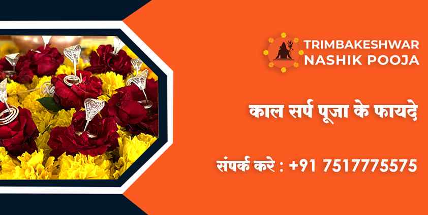 काल सर्प पूजा के फायदे